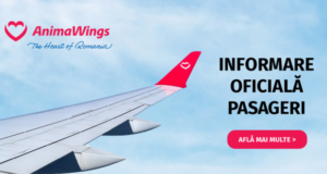 Planurile pentru Istanbul, date peste cap la Brașov! AnimaWings a intrat în insolvență! Ce se întâmplă cu pasagerii care au bilete cumpărate