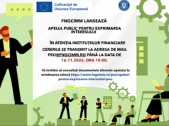 Aproape 495 de milioane de lei pentru economia socială. FNGCIMM caută parteneri financiari pentru noul program de sprijin