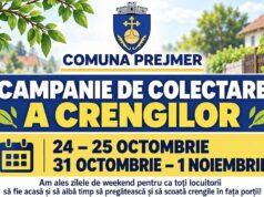 Campanie gratuită de colectare a crengilor și resturilor vegetale la Prejmer