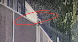 VIDEO. Cruzime la greu! Doi cățeluși, aruncați peste gardul de doi metri al Adăpostului de animale Brașov. Cazul a fost sesizat autorităților
