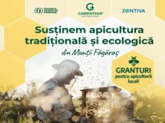 Finanțare pentru apicultorii din Munții Făgăraș: granturi pentru dezvoltarea apiculturii tradiționale și ecologice