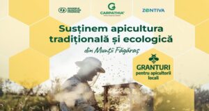 Finanțare pentru apicultorii din Munții Făgăraș: granturi pentru dezvoltarea apiculturii tradiționale și ecologice