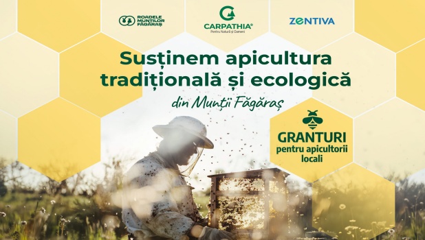 Sustinem-apicultura-comunicat-presa-landscape