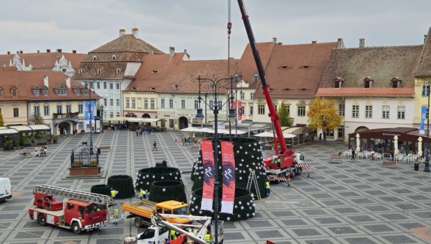 brad craciun sibiu