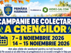 Campanie gratuită de colectare a crengilor în Hărman. Când trebuie scoase resturile vegetale în fața porții