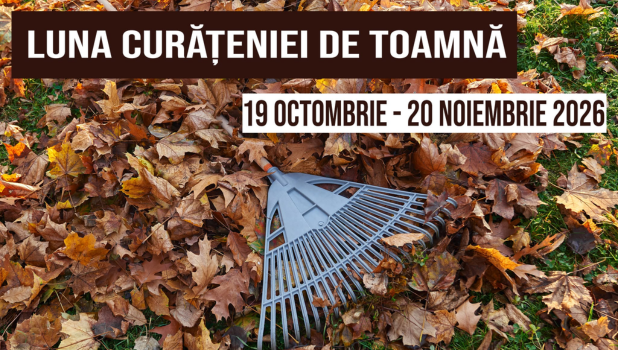 luna curateniei de toamna (1)
