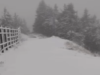 VIDEO. A venit iarna în octombrie! Ninge ca-n povești în Poiana Brașov