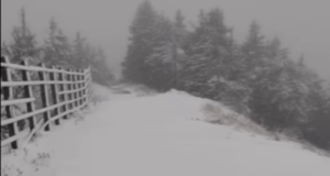 VIDEO. A venit iarna în octombrie! Ninge ca-n povești în Poiana Brașov